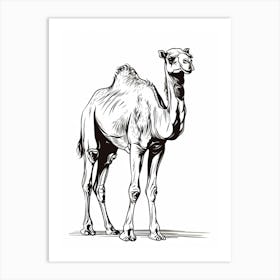 B&W Camel Art Print