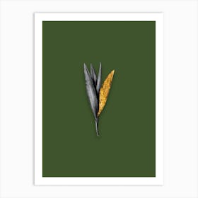 Vintage Autumn Crocus Black and White Gold Leaf Floral Art on Olive Green n.1097 Art Print