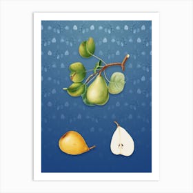 Vintage Pear Botanical on Bahama Blue Pattern n.1333 Art Print