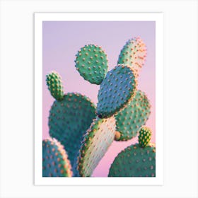 Cactus 20 Art Print