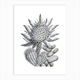 Star Cactus William Morris Inspired 3 Art Print