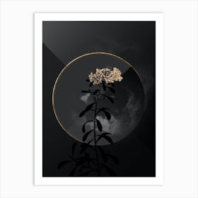 Shadowy Vintage Small White Flowers Botanical on Black with Gold n.0119 Art Print