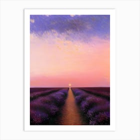 Lavender Fields At Sunset Art Print