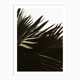 Windy Palm Tree Art Print