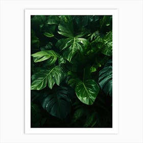 Tropical Jungle Background Art Print