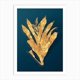 Vintage Cordyline Fruticosa Botanical in Gold on Teal Blue n.0124 Art Print