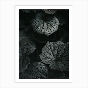 Dark Leaves Art Print