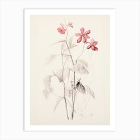 Vintage Floral Sketch Art Print