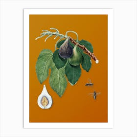 Vintage Fig Botanical on Sunset Orange n.0062 Art Print