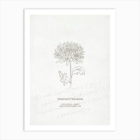 Chrysanthemum Birth Flower | Antique Art Print