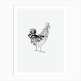 Rooster B&W Pencil Drawing 4 Bird Art Print