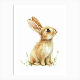 Netherland Dwarf Rabbit Kids Illustration 2 Art Print