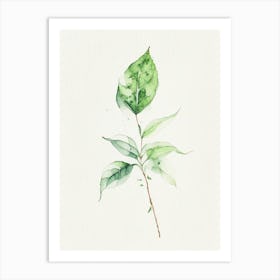 Basil Leaf Minimalist Watercolour 1 Art Print