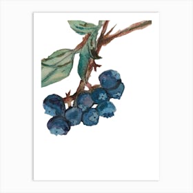 Blue Berries 1 Art Print