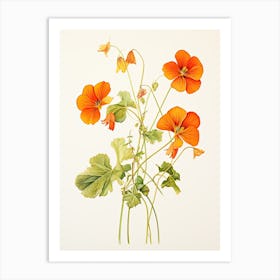 Nasturtiums Flower Vintage Botanical 3 Art Print