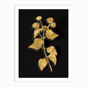 Vintage Tickberry Botanical in Gold on Black n.0097 Art Print