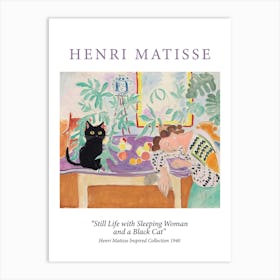 Henri Matisse  Style Sleeping Woman With Cat Museum Poster Art Print