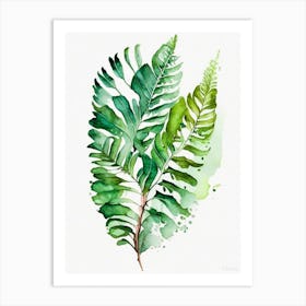 Five Finger Fern Watercolour Art Print