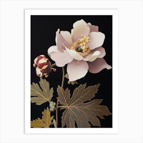 Flower Illustration Hellebore Art Print