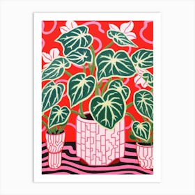 Pink And Red Plant Illustration Fittonia White Anne 2 Art Print