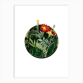 Vintage Mexican Marigold Botanical in Gilded Marble on Clean White n.0003 Art Print