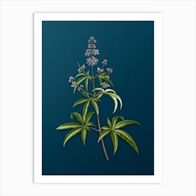 Vintage Chaste Tree Botanical Art on Teal Blue n.0274 Art Print