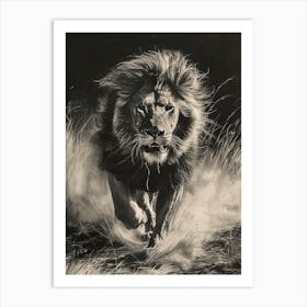Barbary Lion Charcoal Drawing Hunting 2 Art Print