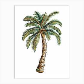 Palm Tree 35 Art Print