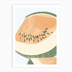 Cantaloupe Close Up Illustration 4 Art Print