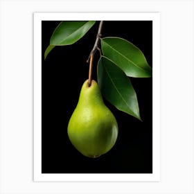 Pear 5 Art Print