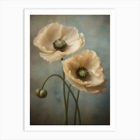 Poppies 32 Art Print