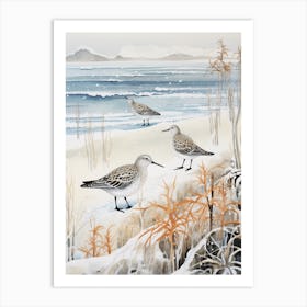 Winter Bird Painting Dunlin 2 Art Print