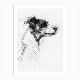 Border Collie Dog Charcoal Line 1 Art Print