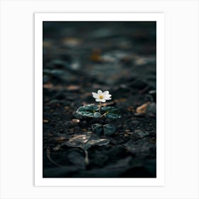 Single White Flower 11 Art Print