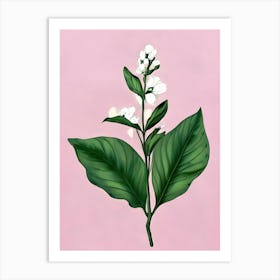 Sage Flower Art Print