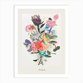 Protea 2 Collage Flower Bouquet Poster Art Print
