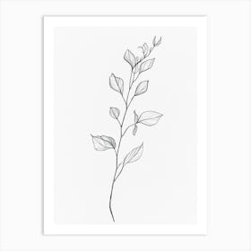 Sketch Of A Plant Art Print