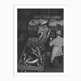 Untitled Photo, Possibly Related To Tuna Being Packed In Ice, Astoria, Oregon By Russell Lee Art Print