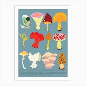 Different Types Of Mushrooms Art Print