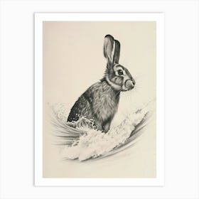 Californian Rabbit Drawing 2 Art Print