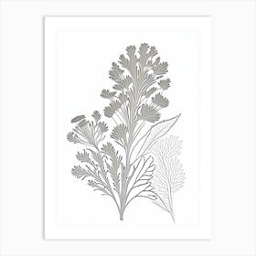 Coriander Herb William Morris Inspired Line Drawing 2 Art Print