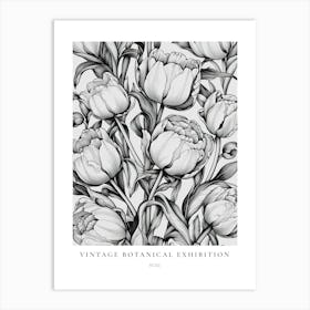 Rose 2 B&W Vintage Botanical Poster Art Print