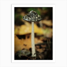 Brown Mushroom // Nature Photography 4 Art Print