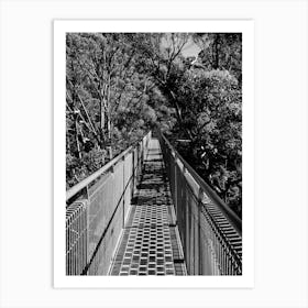 Treetop Walk - Walpole Western Australia Art Print