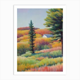 Pitch Pine Tree Watercolour Art Print