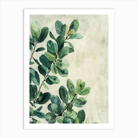 Eucalyptus Branch Art Print