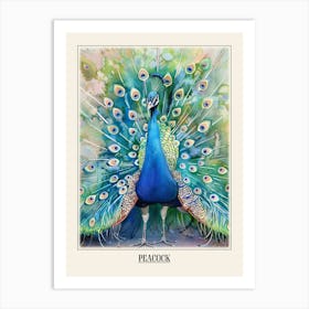 Peacock Colourful Watercolour 4 Poster Art Print