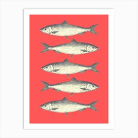 Sardines - Red Art Print