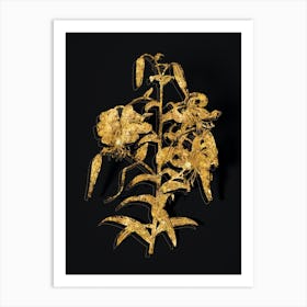 Vintage Tiger Lily Botanical in Gold on Black Art Print