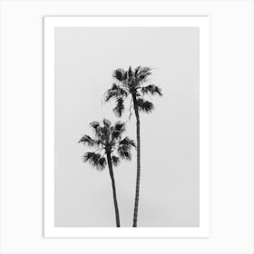 California Palm Trees Art Print